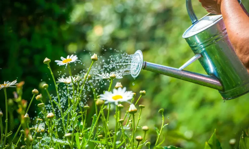 Half of workers would choose a “green” pension and it could lead to ESG investments soaring